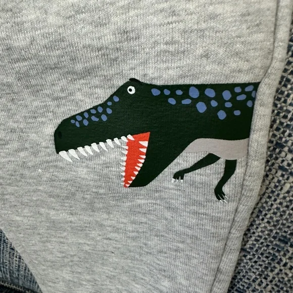 Joules NWT Boys Grey Champion GRMDINO Sweat Pants—Age 1, Height 31.5 - Picture 3 of 7